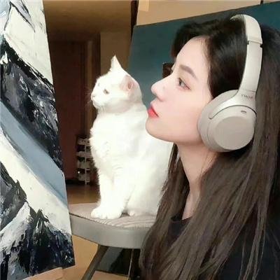 跳伞失踪记